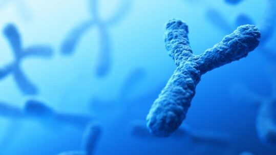 analisi cromosomica